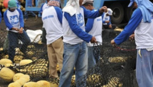 El sector pesquero ecuatoriano se involucra más en el reciclaje – Ecuador’s fishing sector becomes more involved in recycling￼