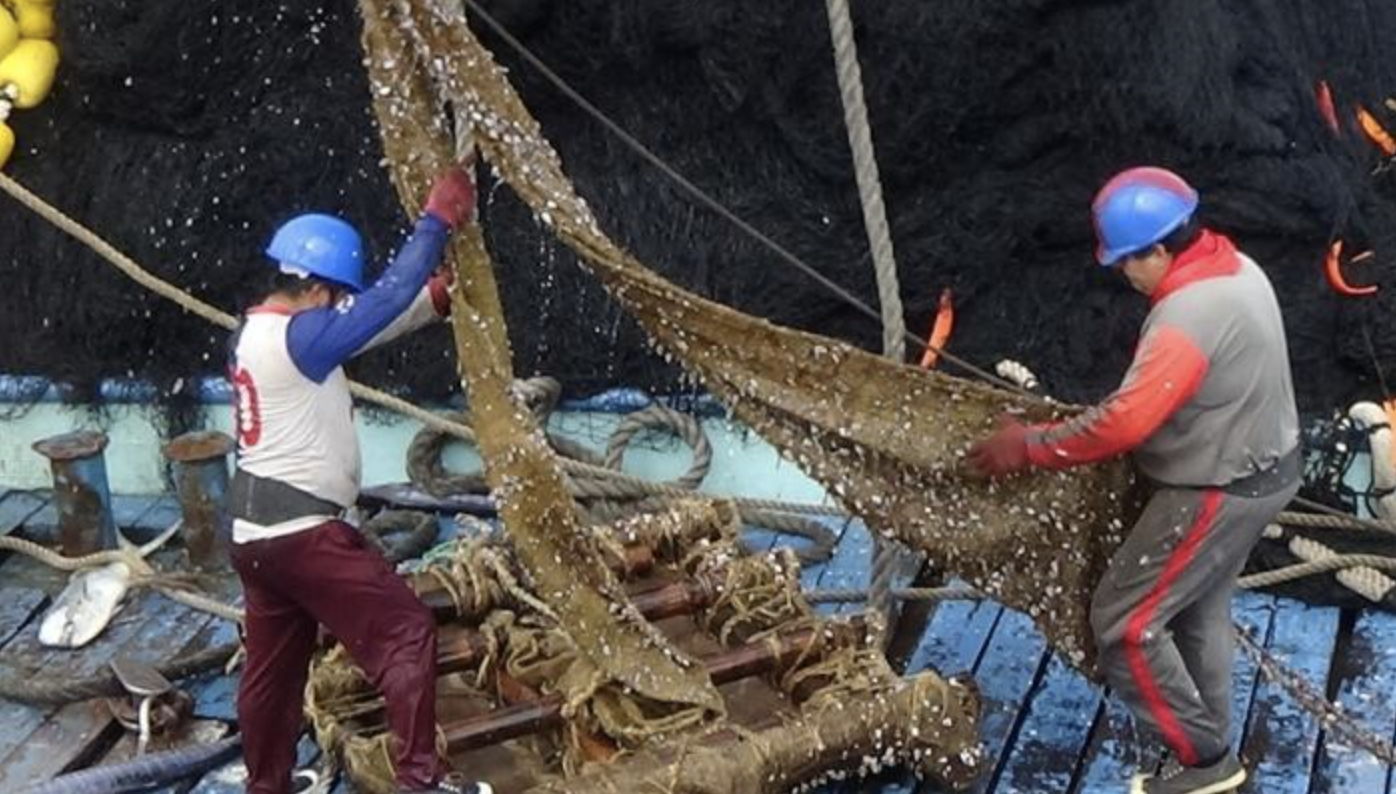 Atuneros ecuatorianos, pioneros globales en pesca con materiales