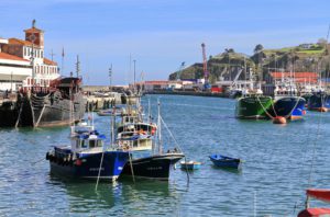 Bermeo Tuna World Capital promueve la Declaración Internacional por la Sostenibilidad del Atún